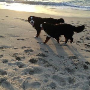 Meet your Posher, Jayne